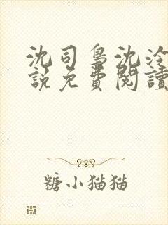 沈司枭沈泠初小说免费阅读最新章节封面