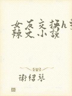 女友交换h系列辣文小说