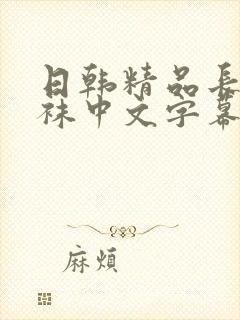 日韩精品长腿丝袜中文字幕高清