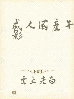 成人国产午夜电影