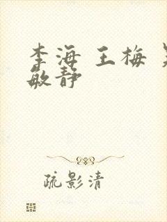 李海 王梅 吴敏静封面