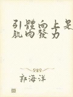 引体向上是哪个肌肉发力封面