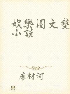 娱乐圈文双男主小说