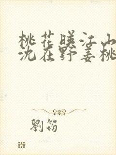 桃花映江山原著沈在野姜桃花全文阅读