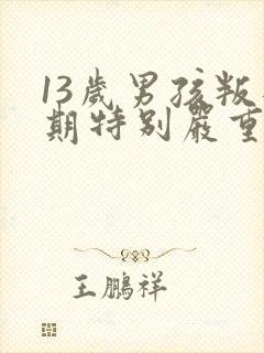 13岁男孩叛逆期特别严重怎么办