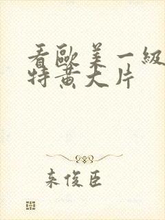 看欧美一级特黄特黄大片