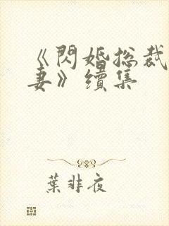 《闪婚总裁契约妻》续集