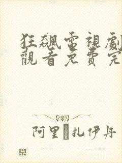 狂飙电视剧在线观看免费完整高清封面