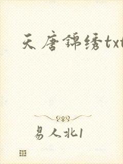 天唐锦绣txt