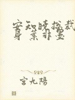 安知晓总裁的替身 叶非墨