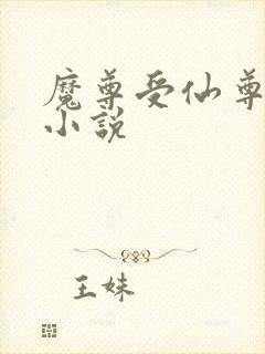 魔尊受仙尊攻的小说
