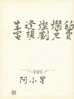 生逢灿烂的日子电视剧免费在线观看