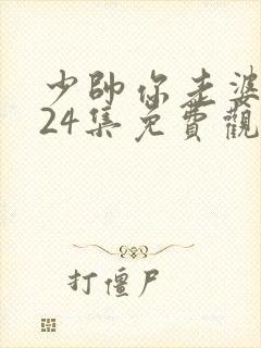 少帅你老婆又跑24集免费观看