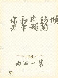 你和我的倾城时光笔趣阁封面