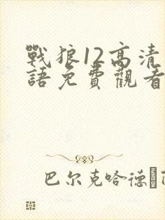 战狼12高清国语免费观看影视