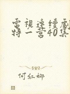 电视连续剧我的特一营40集