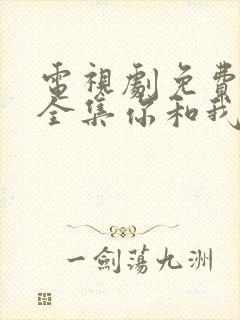 电视剧免费观看全集你和我的倾城时光