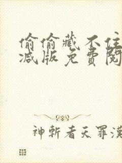 偷偷藏不住无删减版免费阅读封面