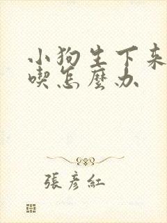 小狗生下来没奶吃怎么办