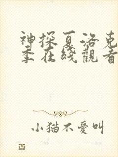 神探夏洛克第二季在线观看免费