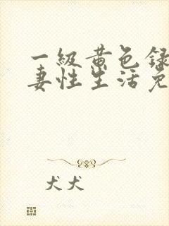 一级黄色录像夫妻性生活免费观看