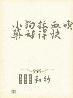 小狗拉血吃什么药好得快