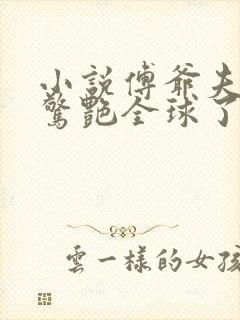 小说傅爷夫人又惊艳全球了免费