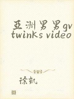 亚洲男男gv twinks video