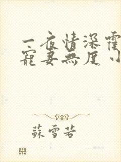 一夜情深霍先生宠妻无度 小说