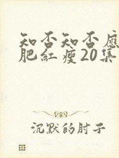 知否知否应是绿肥红瘦20集