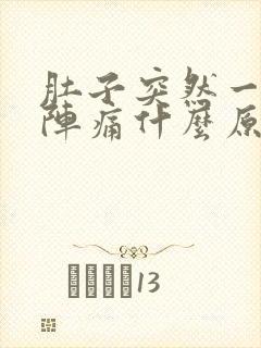 肚子突然一阵一阵痛什么原因封面