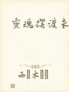 灵魂摆渡未删版