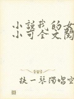 小说我的女儿叫小可全文阅读封面