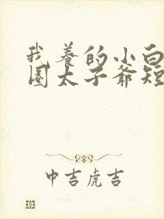 我养的小白脸京圈太子爷短剧