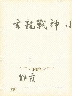 玄龙战神 小说