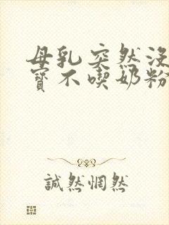 母乳突然没了宝宝不吃奶粉怎么办封面