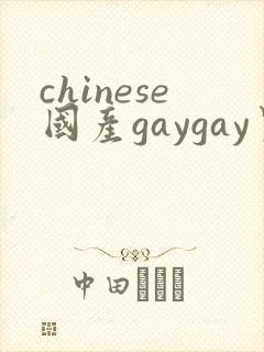 chinese国产gaygay男男网站封面