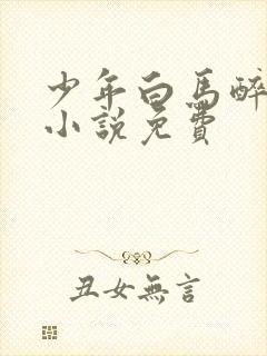 少年白马醉春风小说免费封面