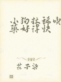 小狗拉稀吃什么药好得快