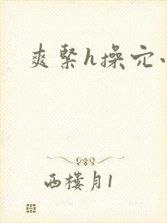 爽紧h操穴小说封面