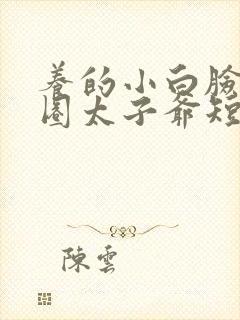 养的小白脸是京圈太子爷短剧