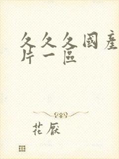 久久久国产一级片一区