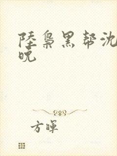 陆枭黑帮沈念苏晚