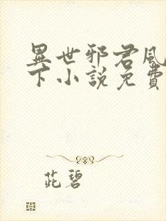 异世邪君风凌天下小说免费阅读全文封面