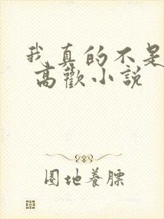 我真的不是重生 高欢小说