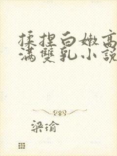 揉捏白嫩高耸饱满双乳小说封面