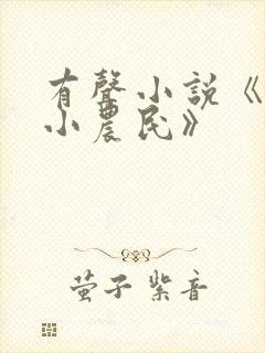 有声小说《至尊小农民》