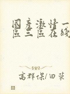 国产激情一区二区三区在线