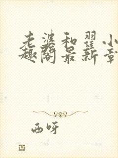 老婆和翟小说笔趣阁最新章节列表