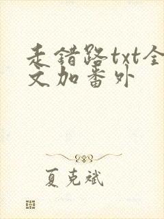 走错路txt全文加番外